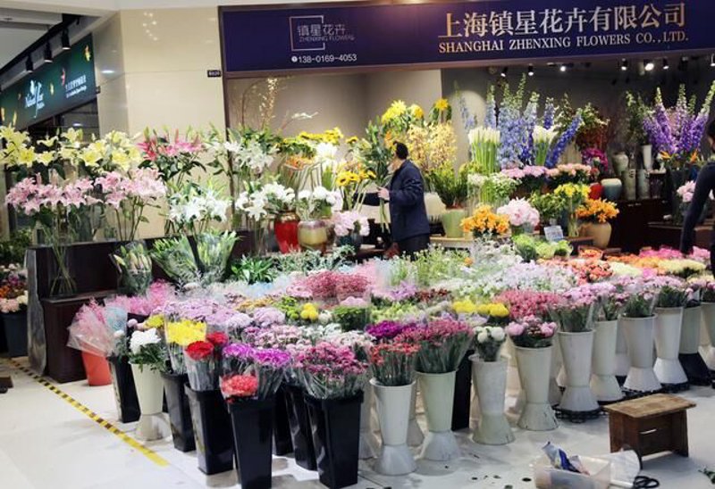温室大棚设计引领现代农业新潮流