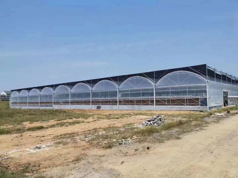温室大棚施工如何在农业领域大放异彩?